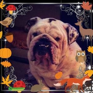 Meet your Posher, Patsy